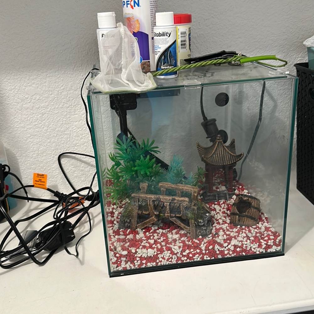 Fish Tank with accessories